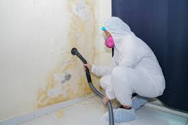 Mold Removal for HVAC Installations in Intercourse, PA